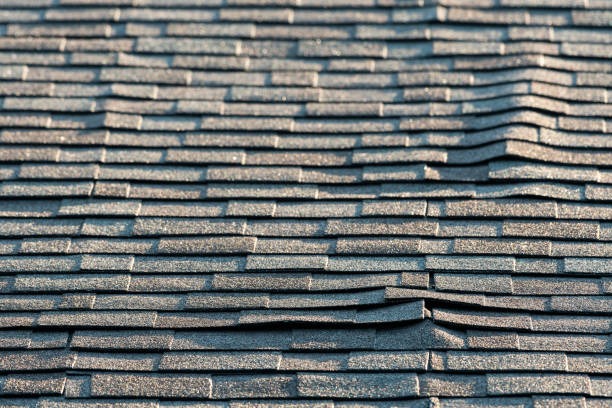Reach Out for Roofing Assistance Expert Advice & Support