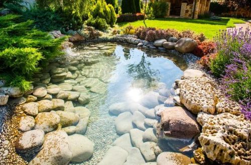Custom Landscape Design Ideas for Beautiful Outdoor Spaces