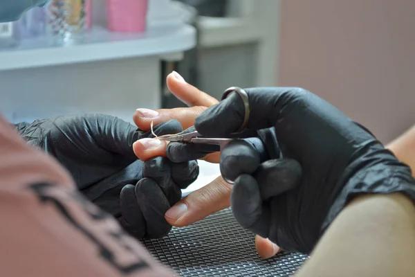 Why Piercing Specials Matter When Choosing Your Piercing Studio