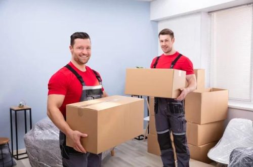 Local Moving Experts for Residential and Commercial Relocations in North Carolina