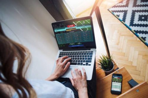 Exploring Different User Journeys Across uae betting sites